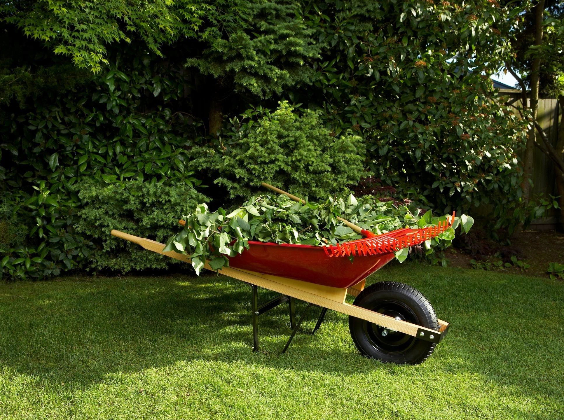 Garden wheelbarrow on a manicured lawn